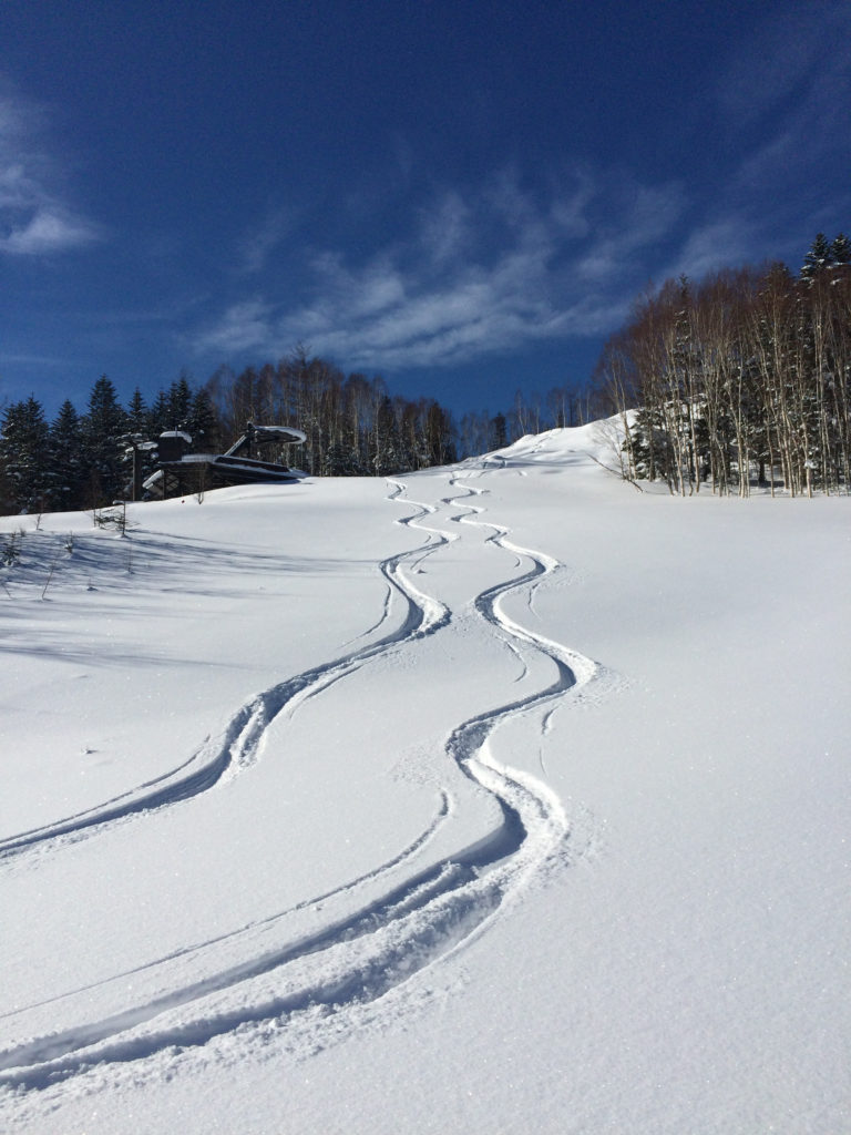 powder skiing in japan